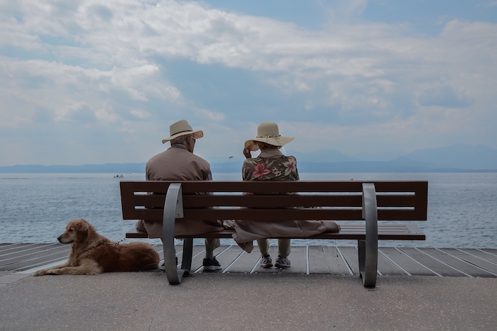 etapa geriátrica cuidados en mascotas en etapa geriátrica