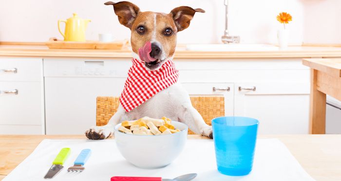 Alimentos dañinos para nuestras mascotas