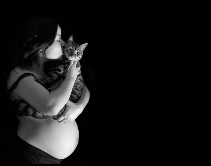 Toxoplasmosis gatos y embarazadas