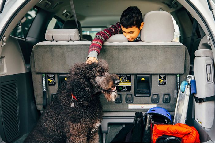 ¿Qué medidas debo tomar para poder viajar con mi perro?