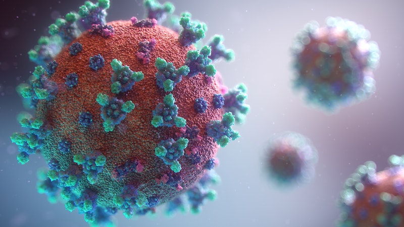 Coronavirus Canino