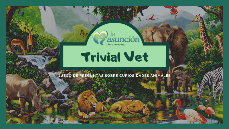 Juego de preguntas, Curiosidades del mundo animal