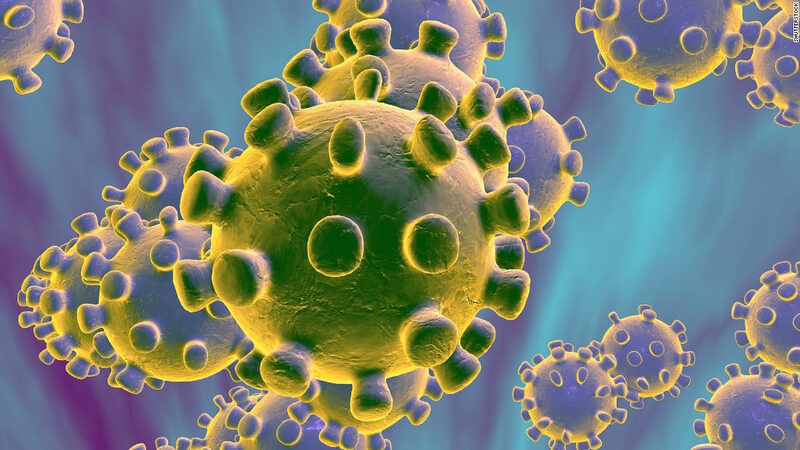 Coronavirus Felino