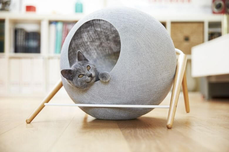 Las mejores camas para gatos en 2026