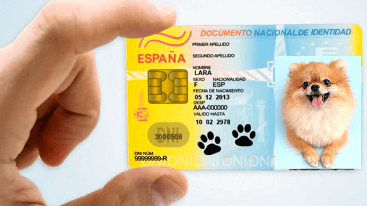 ¿El DNI para mascotas será obligatorio en 2022 en España?