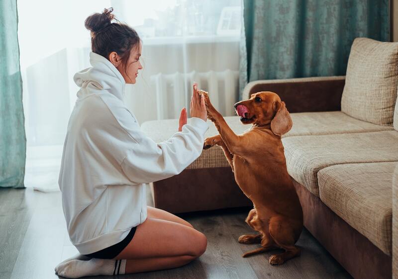 Los beneficios de tener mascotas para la salud y el bienestar