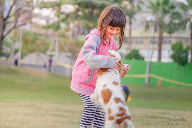 bienestar perro para los ninos