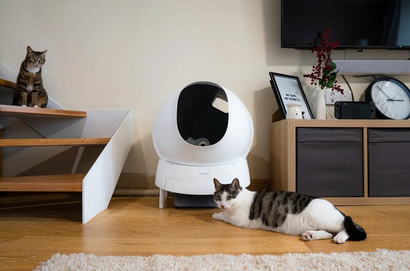Compra el mejor Arenero para Gatos