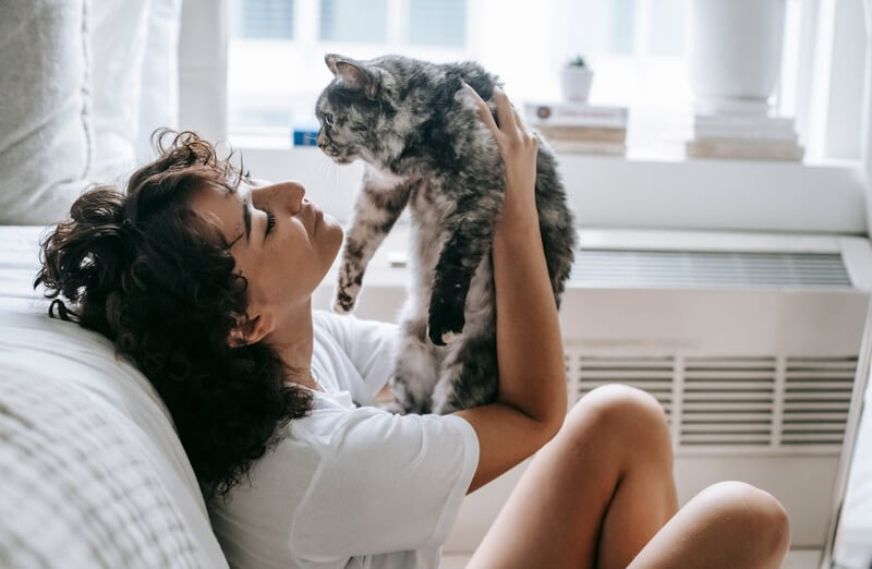 Motivos por lo que vivir con un gato en casa