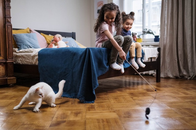 Juguetes caseros para Gatos
