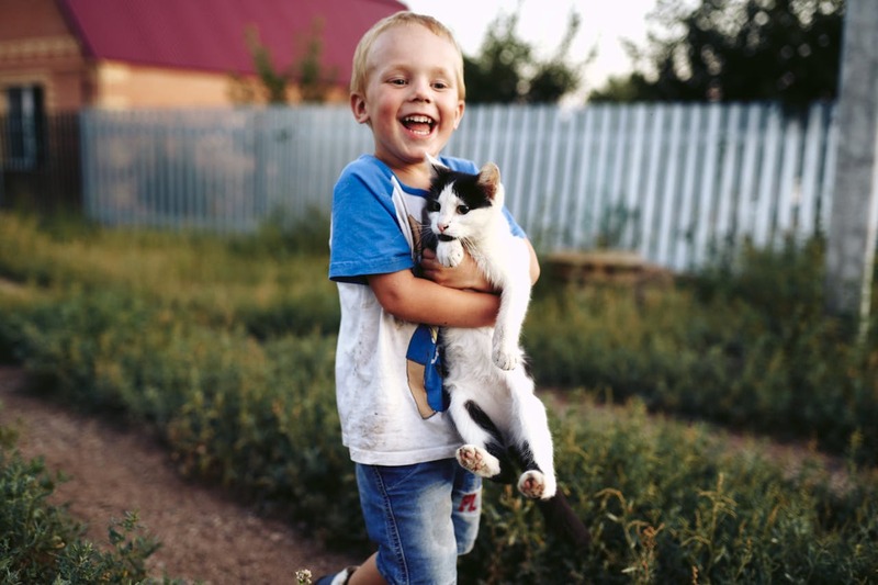 Gatos y niños: Cómo promover una convivencia armoniosa y segura.