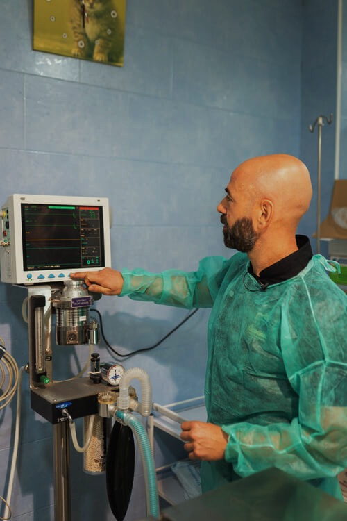 cirugía veterinaria la asuncion elche