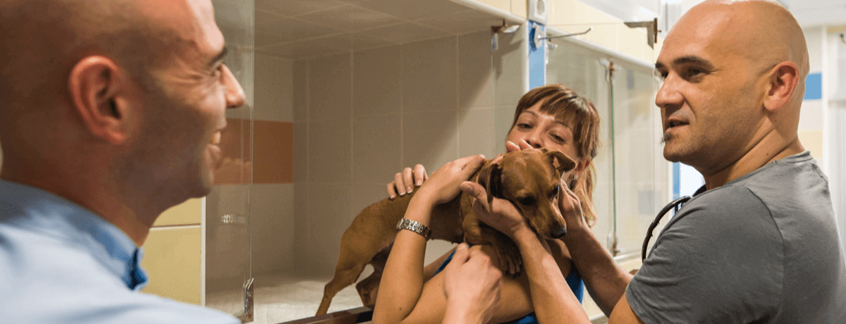 clientes clinica veterinaria la asuncion