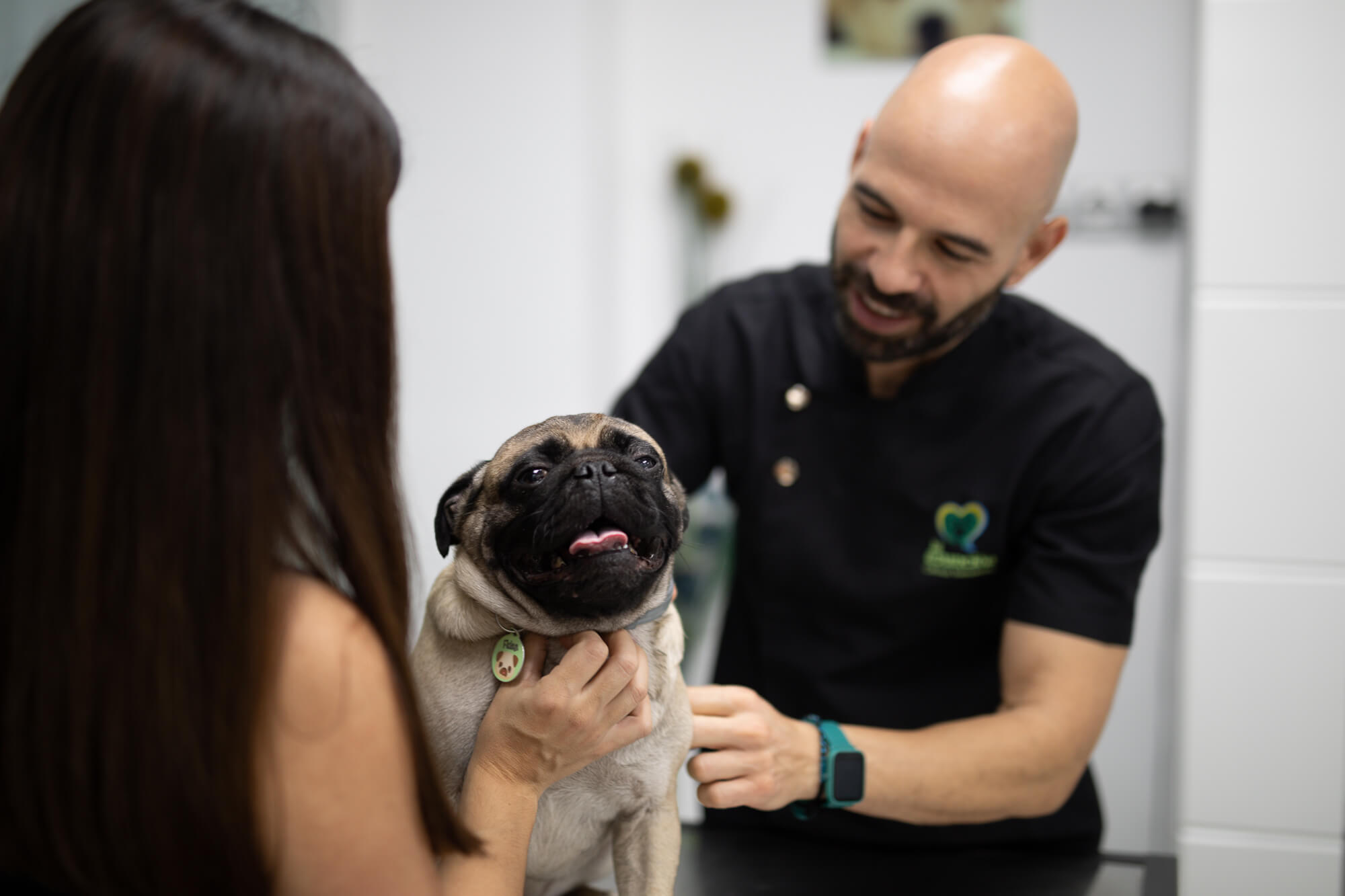 elegir clinica veterinaria