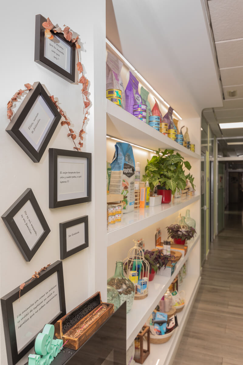 zona tienda especializada veterinaria la asuncion