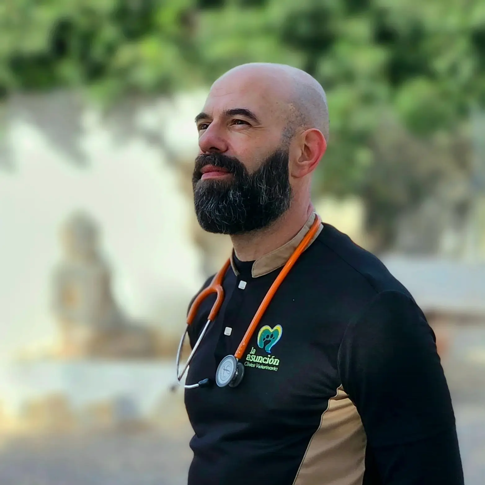 alfredo molina leiva rrss