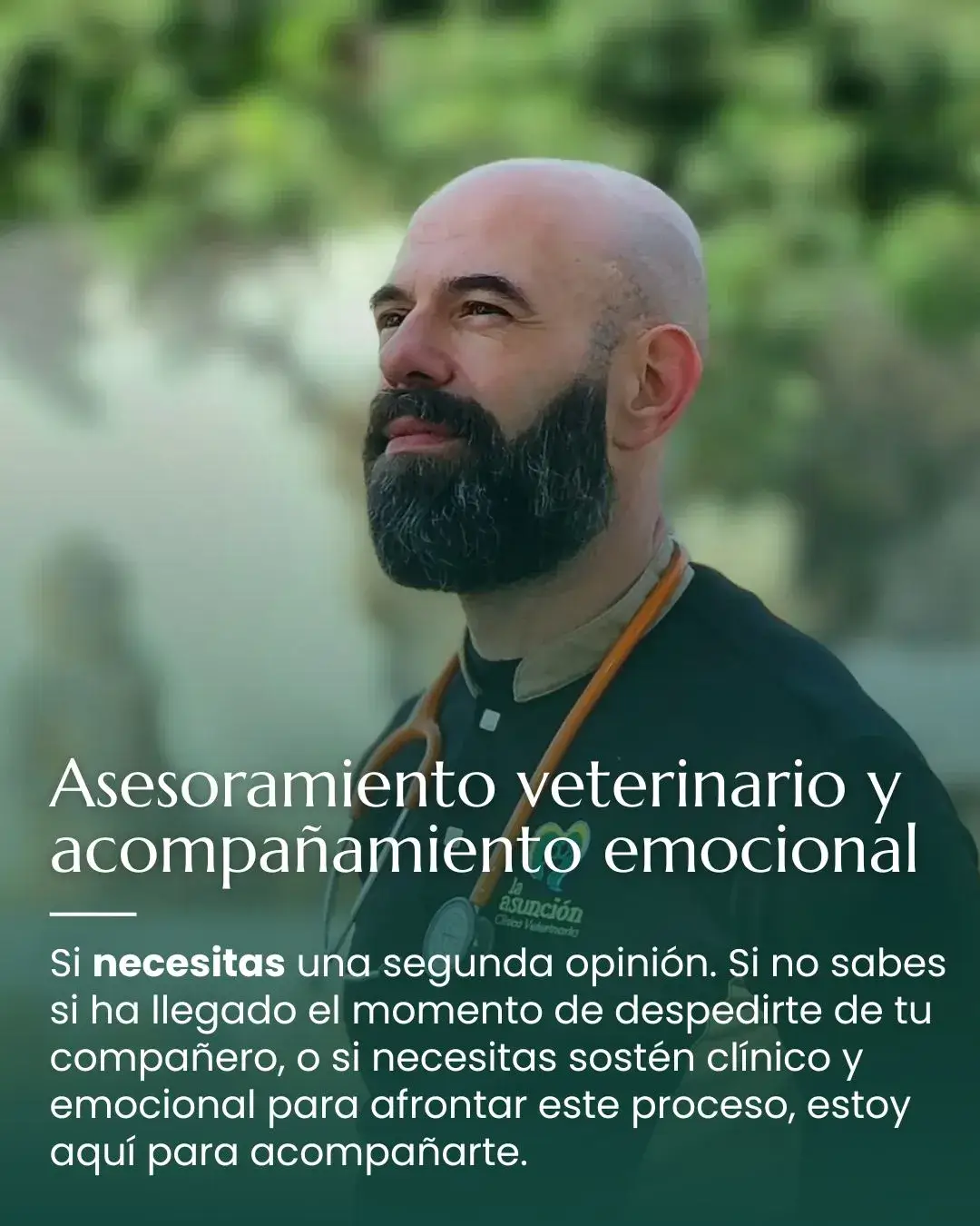 acompañamiento veterinario y segunda opinión