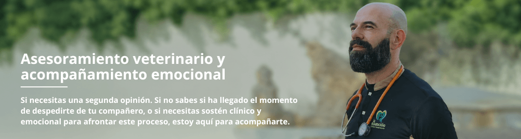 banner asesoramiento emocional