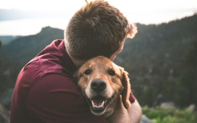 Cómo superar la muerte de tu perro paso a paso: guía práctica y emocional