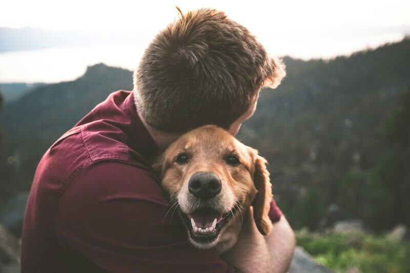 como superar la muerte de tu perro