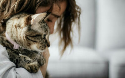 Cómo superar la muerte de tu gato paso a paso: guía práctica y emocional