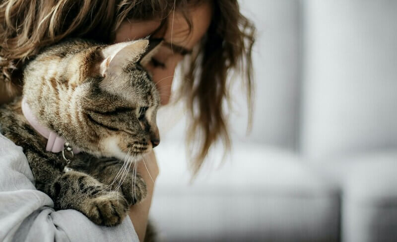 Cómo superar la muerte de tu gato paso a paso: guía práctica y emocional